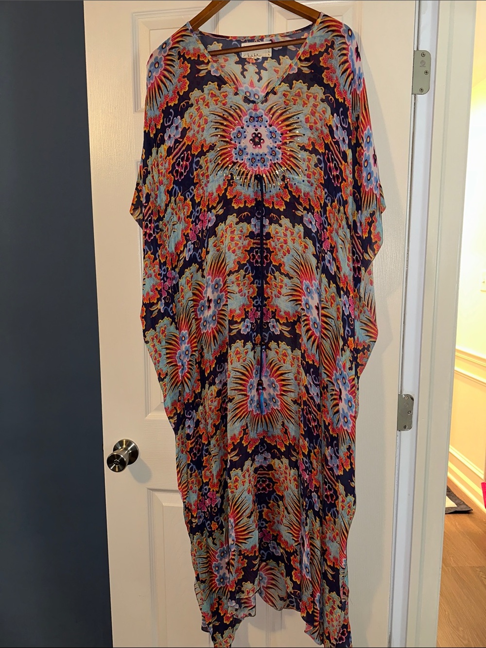 Atelier Nicole Miller sheer maxi swim coverup